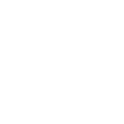 Logo of Lincoln Financial Group